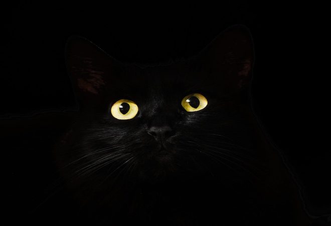 Dampak Buruk Maksiat: Pelajaran dari Ibnul Qayyim