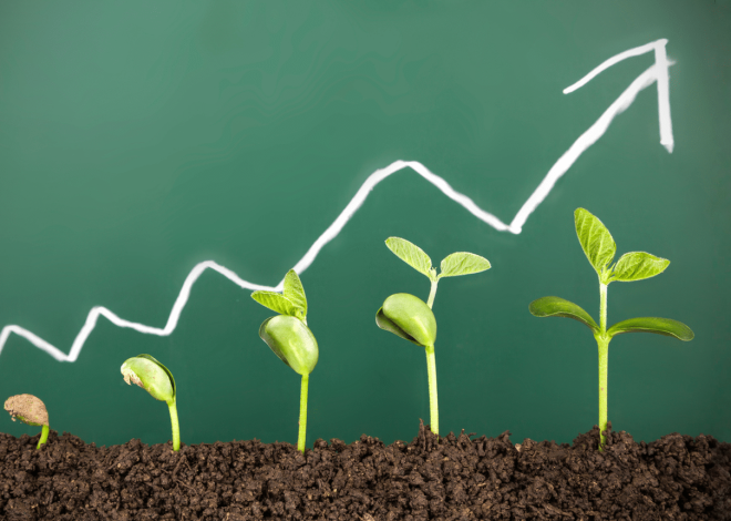Going organic: how accounting companies can grow with their own requirements