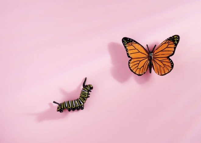 HR technology and artificial intelligence (AI): the reality of change