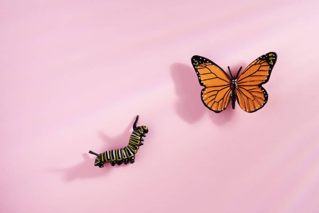 HR technology and artificial intelligence (AI): the reality of change